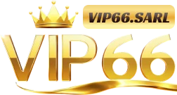 vip66.sarl